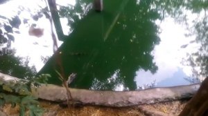 Страна Тайланд  город  Паттайя в марте 2017 года,  часть 5.