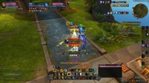 World of Warcraft World of Warcraft World of Warcraft: The War Within ПВП ПАЛАДИН