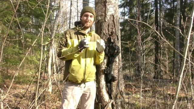 Дары карельского леса. ФитоДар