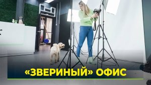 На Ямале появляются всё больше мест, куда можно сходить с питомцем