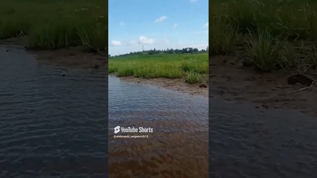 У нас можно близко подъехать на машине к воде