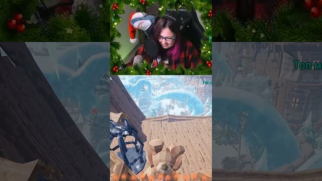 Мышь и Хомяк занимаются порнографией онлайн