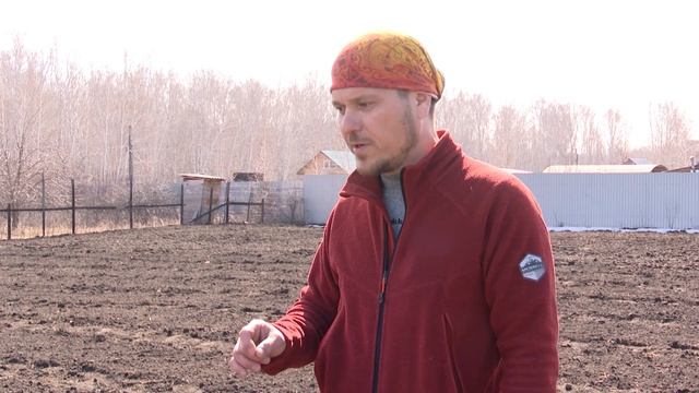 Как получить рекордный урожай чеснока  Полный гайд по посадке весной