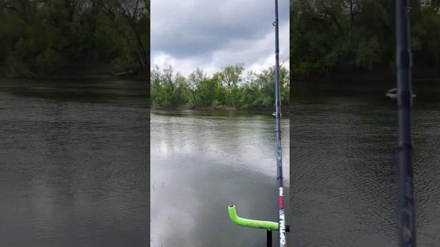 Рыбалка Весной ))09.05.24 #топ #рыбалка #отдых #реки #рек смотреть онлайн