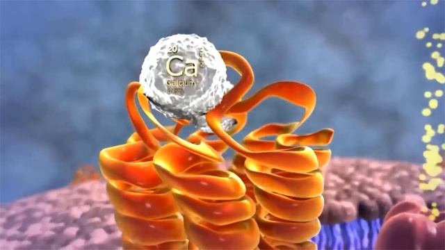 Вот почему нужно есть После Тренировки смотреть онлайн