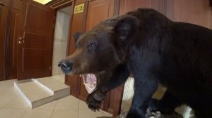 ВЛОГ Выбираем комод в мою комнату / Какой комод выбрать ? / Маня и мороженка  23 мая 2018 г.