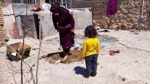 Wandering Shadows: A Nomadic Mother's Battle for Justice