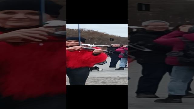 Прекрасная скрипачка у Бранденбургских ворот