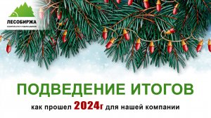 Итоги 2024 года: Как мы сохранили рост на падающем рынке ИЖС