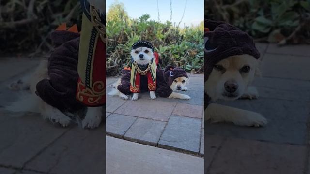 Rhaenyra and Syrax from House of the Dragon (part 3) смотреть онлайн