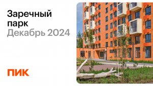 Заречный парк 12.12.2024