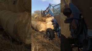 покупка сена и погрузка