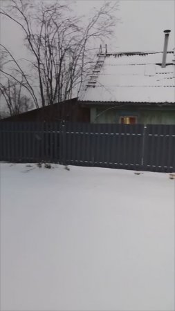 Деревенское утро, или ходьба по снегу