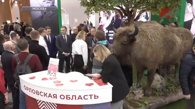 Успехи красных губернаторов на выставке "Россия" на ВДНХ смотреть онлайн