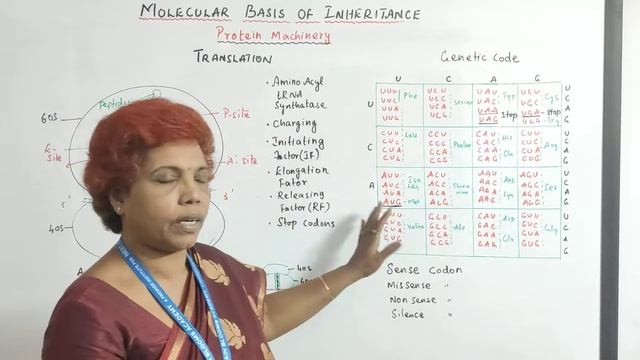 Molecular Basis of Inheritance Part 2 Quick Revision in Tamil | SMB Revision 11 | NCERT Biology |