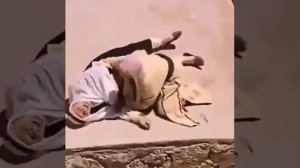 Бринчи бор озон айтилиши