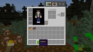 Lp. Хаос Времени #1 Новая История • МАЙНКРАФТ