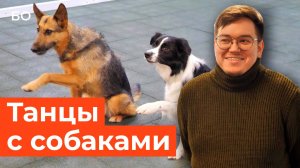 Танцы с собаками. Что за спорт и как сделать питомца звездой танцевального ринга