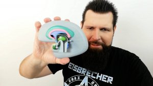 Нейробиология. Лекция 4. Строение и функции больших полушарий