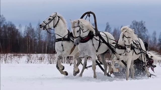 Трудно в деревне у нас ХИТ Цыганские песни .mp4