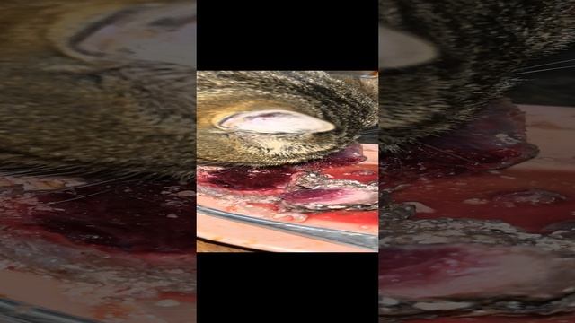 Кушаем 20241228_15.56