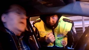 Терещенко 77-3987 ГАИ ЮЗАО не предоставляет информацию, лжет и нарушает приказы. Операция "А".
