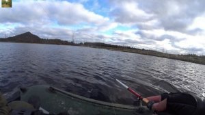 Эти горбачи гнут спиннинг,рыбалка в октябре.