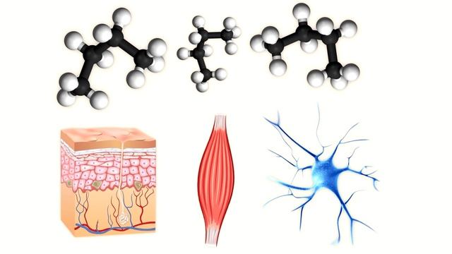 Что нужно делать чтобы Сохранить Молодость смотреть онлайн