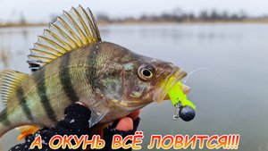 Солнце, тучи, снег... А окунь всё ловится! Рыбалка на джиг зимой!