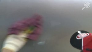 Удаление смолы растительного происхождения