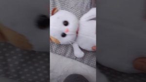 Влог с Басиком и Лили в деревне зимой💋💗