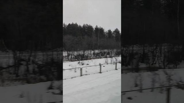 Вид из окна поезда Аврора, Москва - Санкт-Петербург
