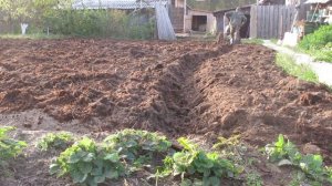 Мотоблок каскад на самодельных грунтозацепах