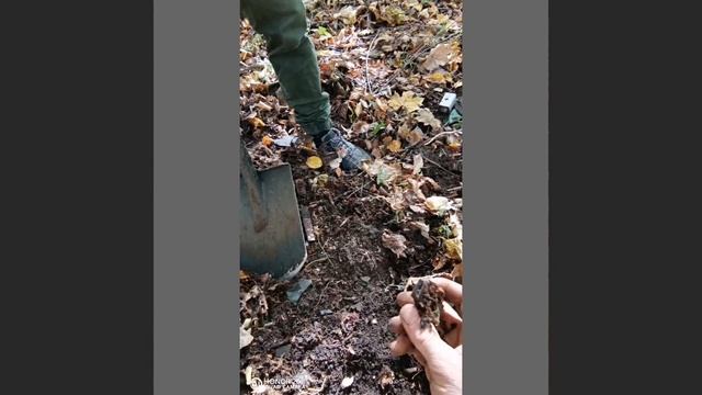 #Металл #Коп #Медь #Серебро Коп металла в лесу смотреть онлайн