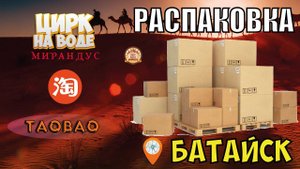 Гастроли цирка на воде "Мирандус" в Батайске