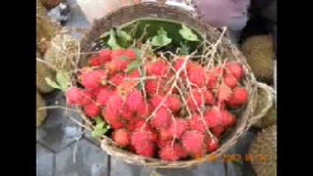 Hen trourb os hey_by In Yeng смотреть онлайн