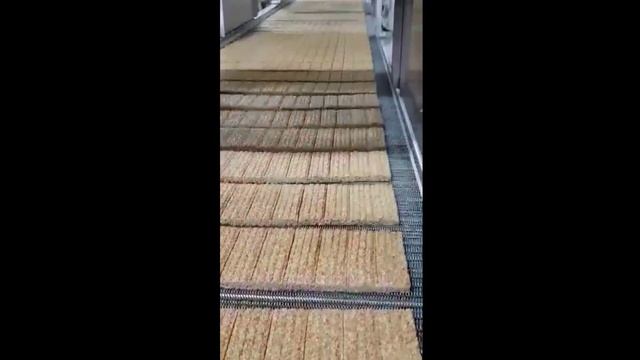 OS - 1400 Cereal Bar Line / OS - 1400 خط حبوب الحبوب