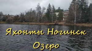 Яхонты Ногинск Озеро