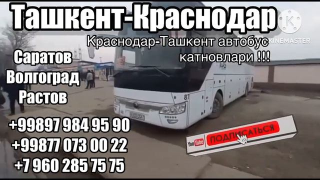 Ташкент-Кроснадар Ташкент-Саратов Ташкент-Волгоград Ташкент-Растов автобус катновлари йолга койилди смотреть онлайн