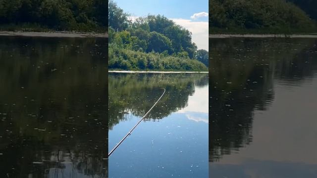 Рыбалка кефтеме смотреть онлайн