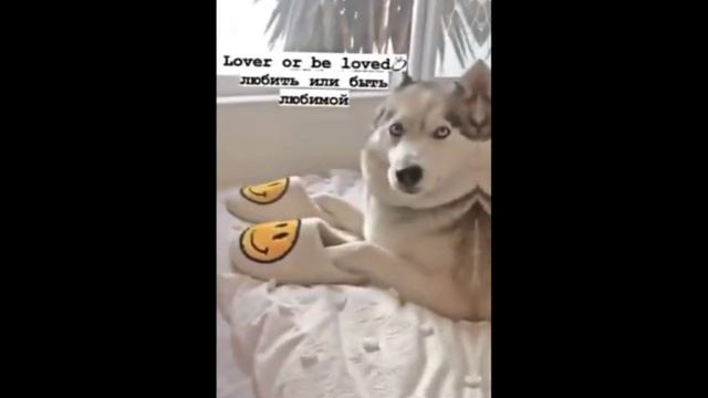 💗статусы на английском со смыслом🍬