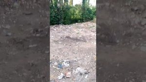 Люди!!! Не бросайте мусор!!!