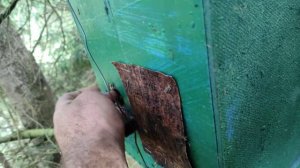 Роеловство. Когда лучше снимать ловушки с пчёлами. Можно ли снимать ловушки утром с бродячим роем.