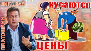 НИКОЛАЙ ПЛАТОШКИН: Цены на картошку: капитализм или жадность?