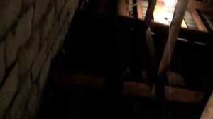 05/10/14 Бык на Курбан Байрам .