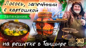 Запечённый целиком лосось в тандыре. Лосось с овощами в тандыре ЭкоТандыр. Рецепт Олега Ольхова