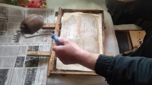 Пчеловодство. Эксперимент. Накатываю самодельную вощину на рамку своими руками #вощина #своимируками