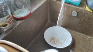 Колбаса и мясо в дегидраторе / домашняя колбаса / вяленое мясо