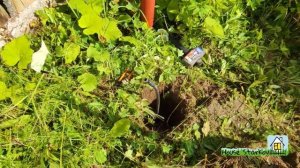 Штыревое заземление. Негативный опыт.