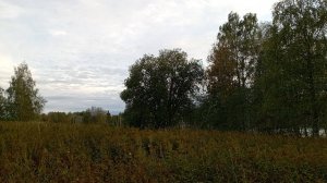 Оставленные земли Вологодчины, зачищенные территории. Древняя пирамида и загадочное урочище Медведи